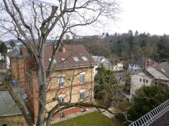 Ausblick
